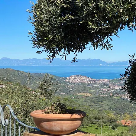 Lila Villa Laureana Cilento